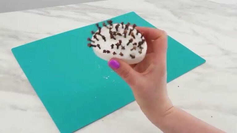 Diese geniale Methode hilft dir, alle Insekten für nur einen Euro loszuwerden…