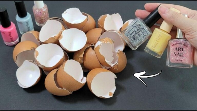 Dieser einfache Trick verwandelt Eierkartons in wunderschöne Deko für dein Zuhause…