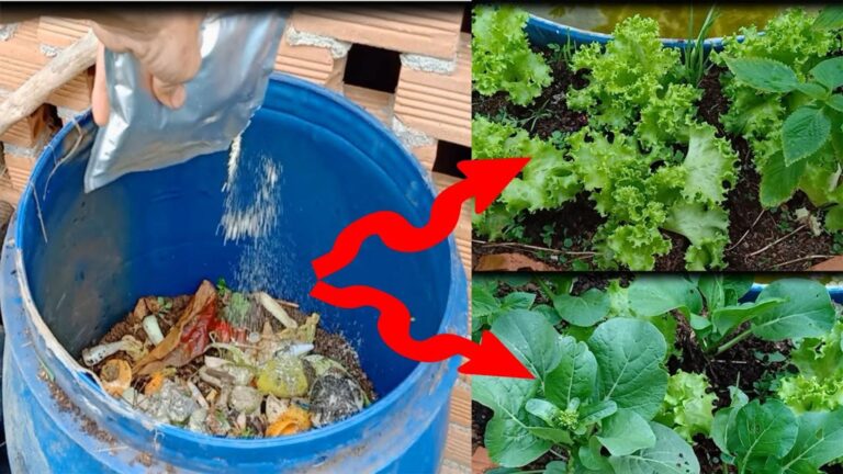 Dieser vergessene Trick verwandelt Küchenabfälle in fruchtbaren Dünger für deinen Garten…