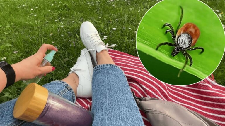Dieser einfache Trick schützt deinen Garten vor Zecken und sorgt sofort für Sicherheit…