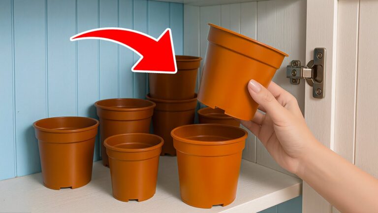 14 geniale Haushalts-Tricks, die dein Leben einfacher machen werden!