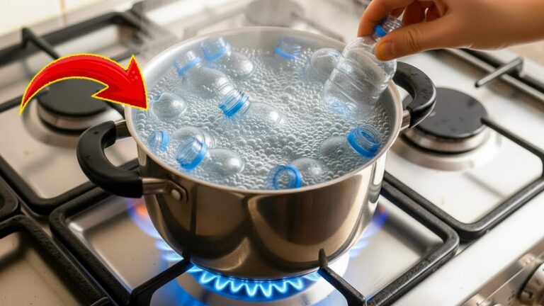 7 erstaunliche Möglichkeiten, wie du mit Plastikflaschen Geld verdienen kannst!