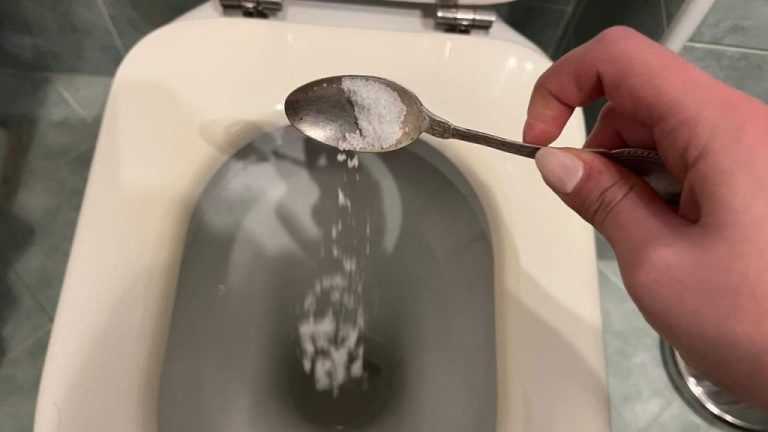 Saubere Toiletten: Das natürliche Geheimnis, das Sie brauchen