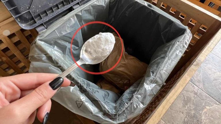 So beseitigen Sie üble Gerüche aus dem Mülleimer: Ein einfacher Trick