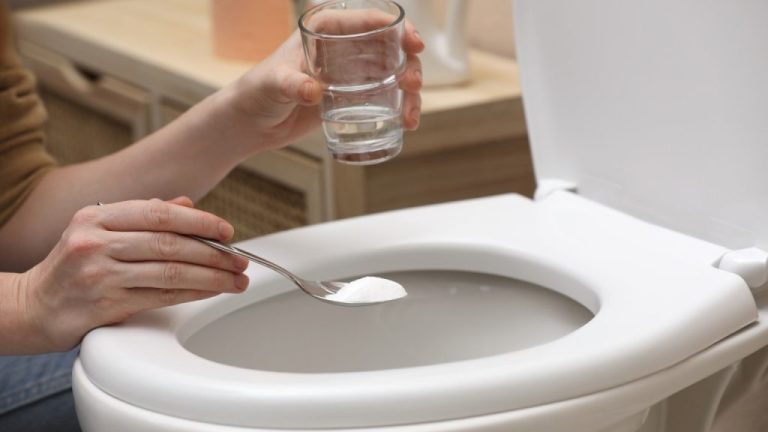 Sprudelndes Wasser ganz ohne Aufwand selbst zubereiten