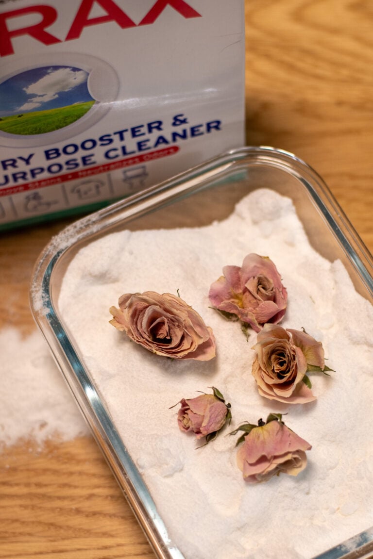 Blumen einfach trocknen: 3 Haushaltsgegenstände für langlebige Sträuße