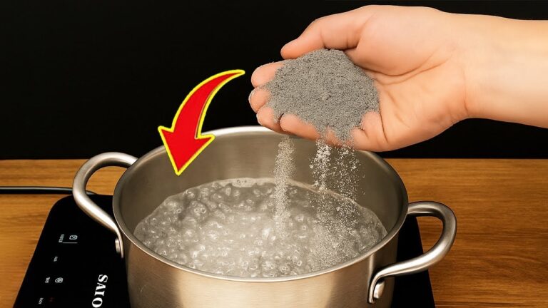 Verblüffende 3 Tipps: So zauberst du mit Zucker und Zement unglaubliche Ergebnisse!