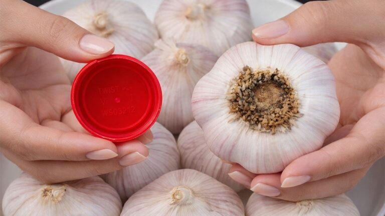 10 Sekunden für eine ganze Schale Knoblauch – So einfach schälst du ihn!