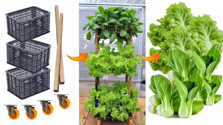 5 kreative Ideen für einen mehrstöckigen Gemüsegarten aus recycelten Plastikwannen