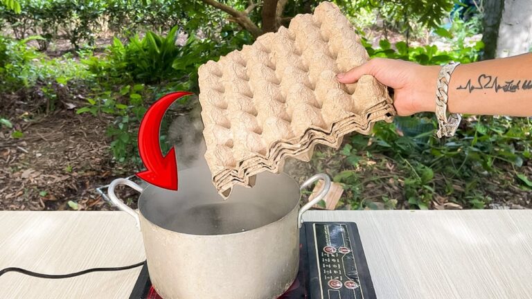 5 geniale Ideen für die Verwendung von Plastik-Ei-Trays, die du kennen musst!
