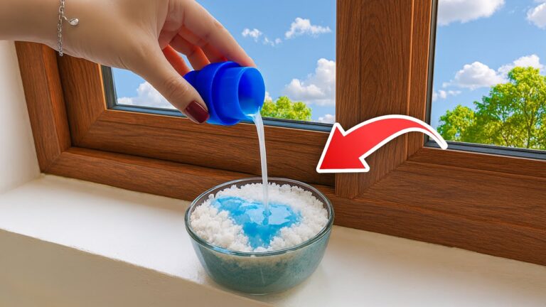 14 geniale Tipps für ein blitzsauberes und organisiertes Zuhause!