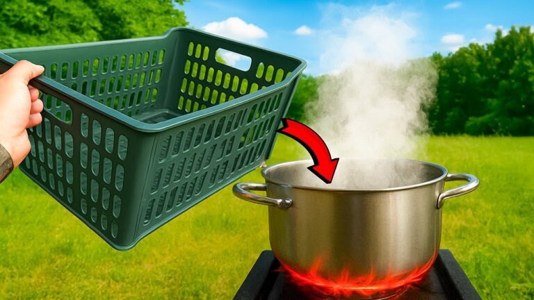 5 geniale Verwendungsmöglichkeiten für Plastikfrüchtemehrer, die du noch nicht gekannt hast!