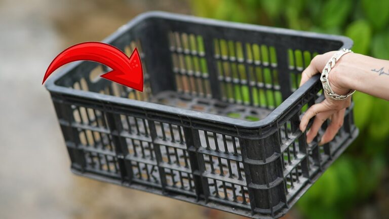 7 kreative Verwendungsmöglichkeiten von Plastikfruchtkisten, die du nicht kanntest!