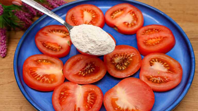 Entdecke 5 schnelle und leckere spanische Rezepte für jede Gelegenheit!