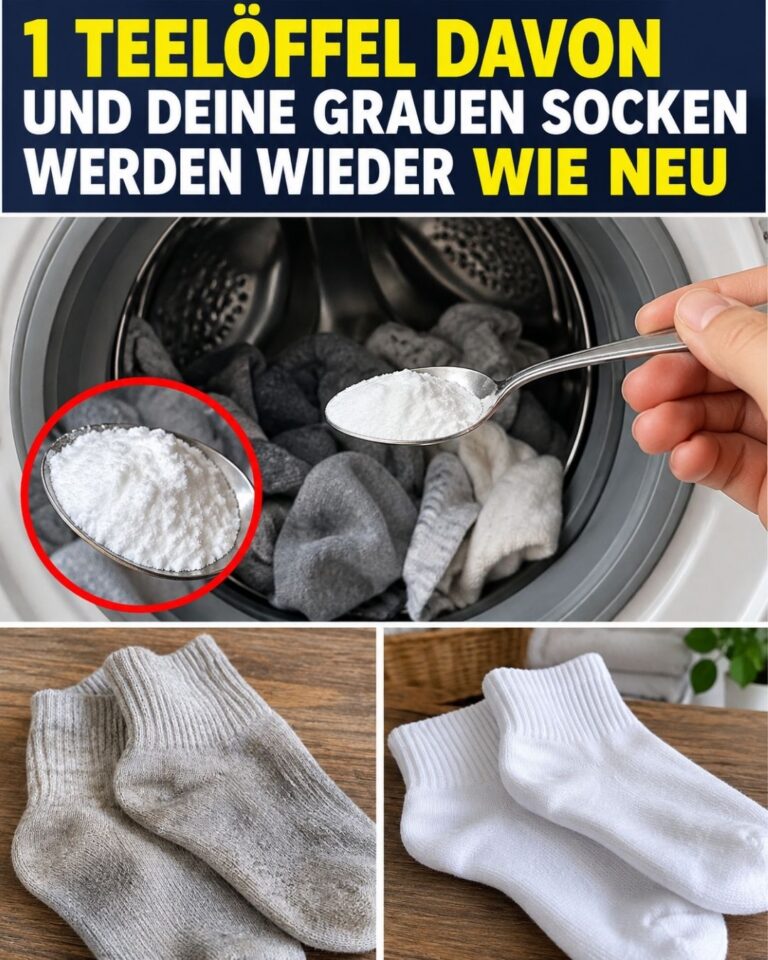1 Teelöffel davon und deine grauen Socken werden wieder wie neu