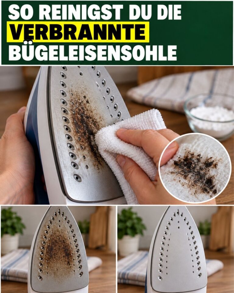 So reinigst du die verbrannte Bügeleisensohle