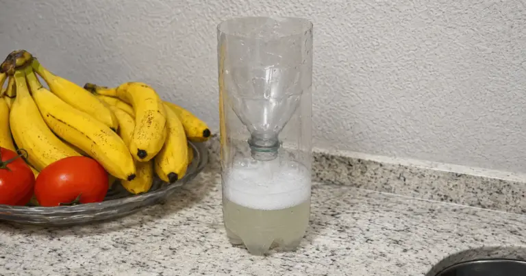 Fliegen in nur einem Tag bekämpfen: So baust du eine einfache Falle aus einer Plastikflasche