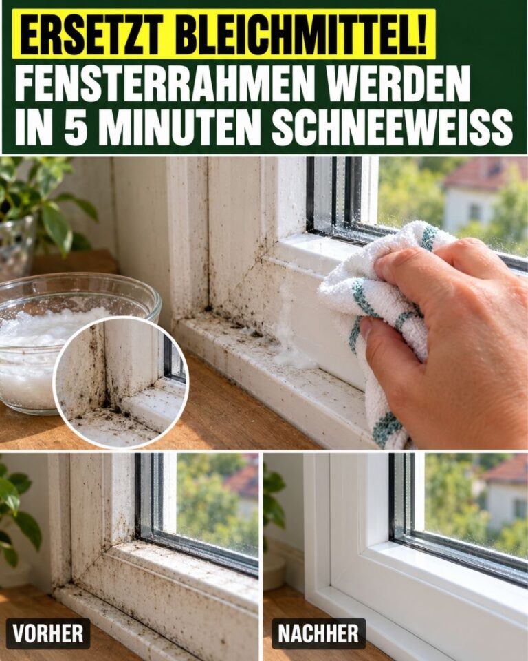 Ersetzt Bleichmittel! Fensterrahmen werden in 5 Minuten schneeweiß