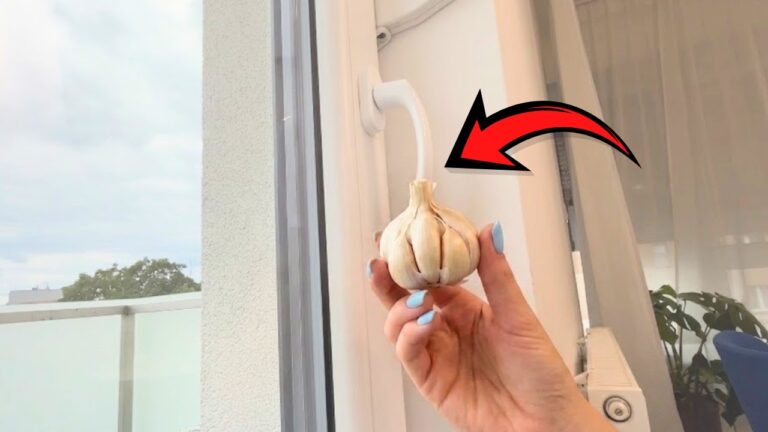 Reib die Fensterrahmen mit Knoblauch ein — so hältst du viele Insekten fern