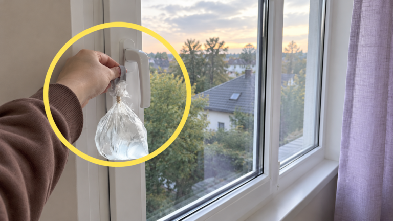 Ein aufgehängtes Blatt gegen Fliegen: die überraschende Idee